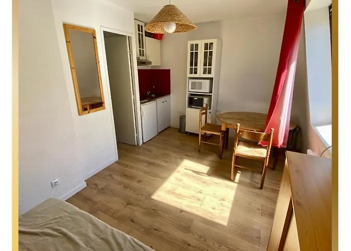 Apartment Proche Piste Les Etoiles La Foux